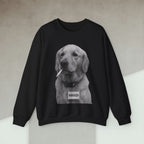 Code Culture dog manager sweatshirt funny programmer Sweatshirt in S — Code Culture developer clothing