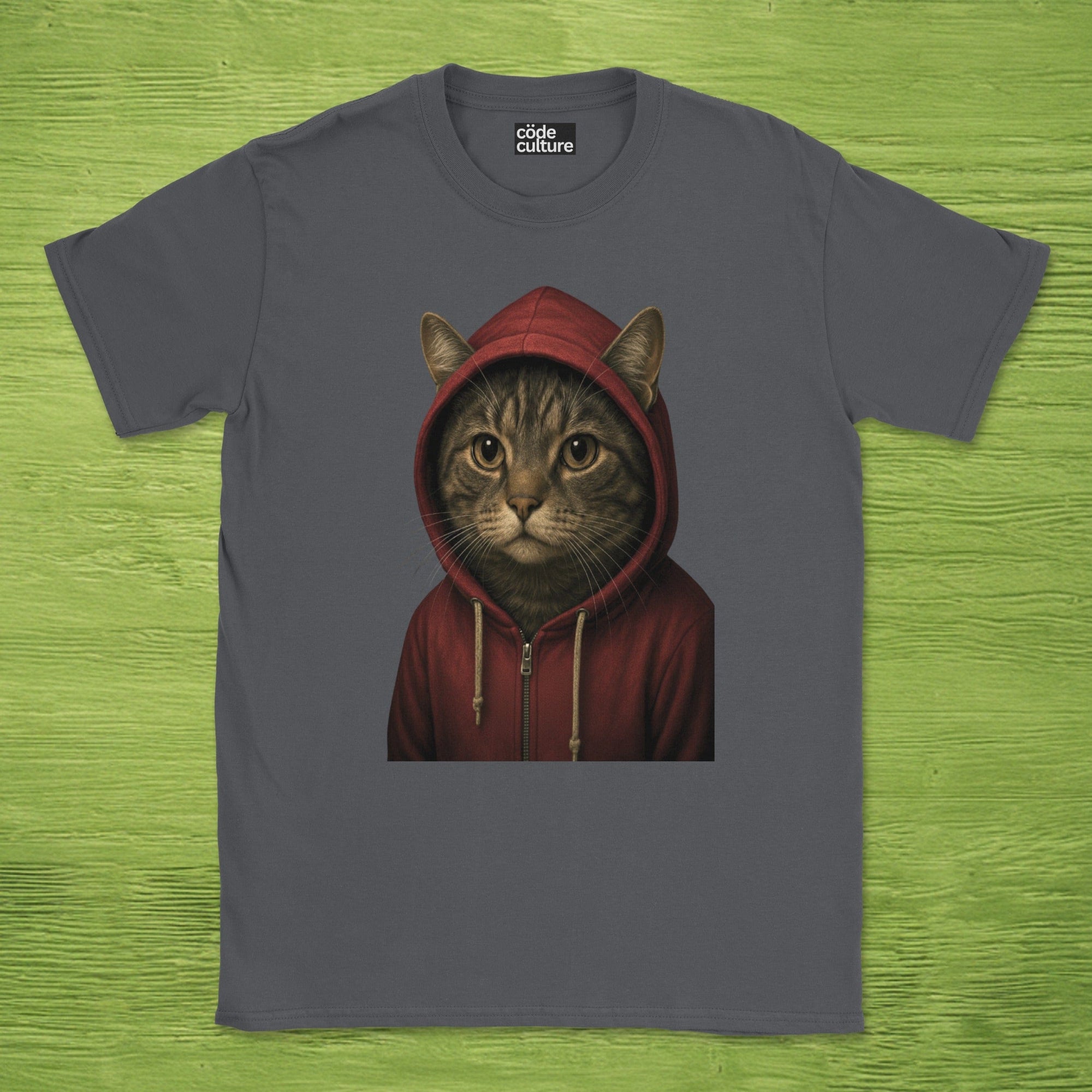 cat in hoodie shirt