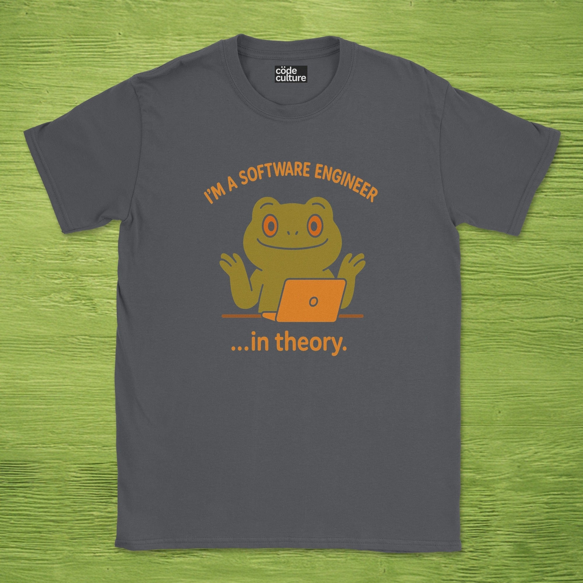 i'm a software engineer in theory shirt