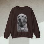 Code Culture dog manager sweatshirt funny programmer Sweatshirt in S — Code Culture developer clothing