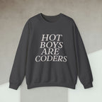 Code Culture hot boys are coders sweatshirt funny programmer Sweatshirt in S — Code Culture developer clothing