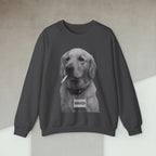Code Culture dog manager sweatshirt funny programmer Sweatshirt in S — Code Culture developer clothing