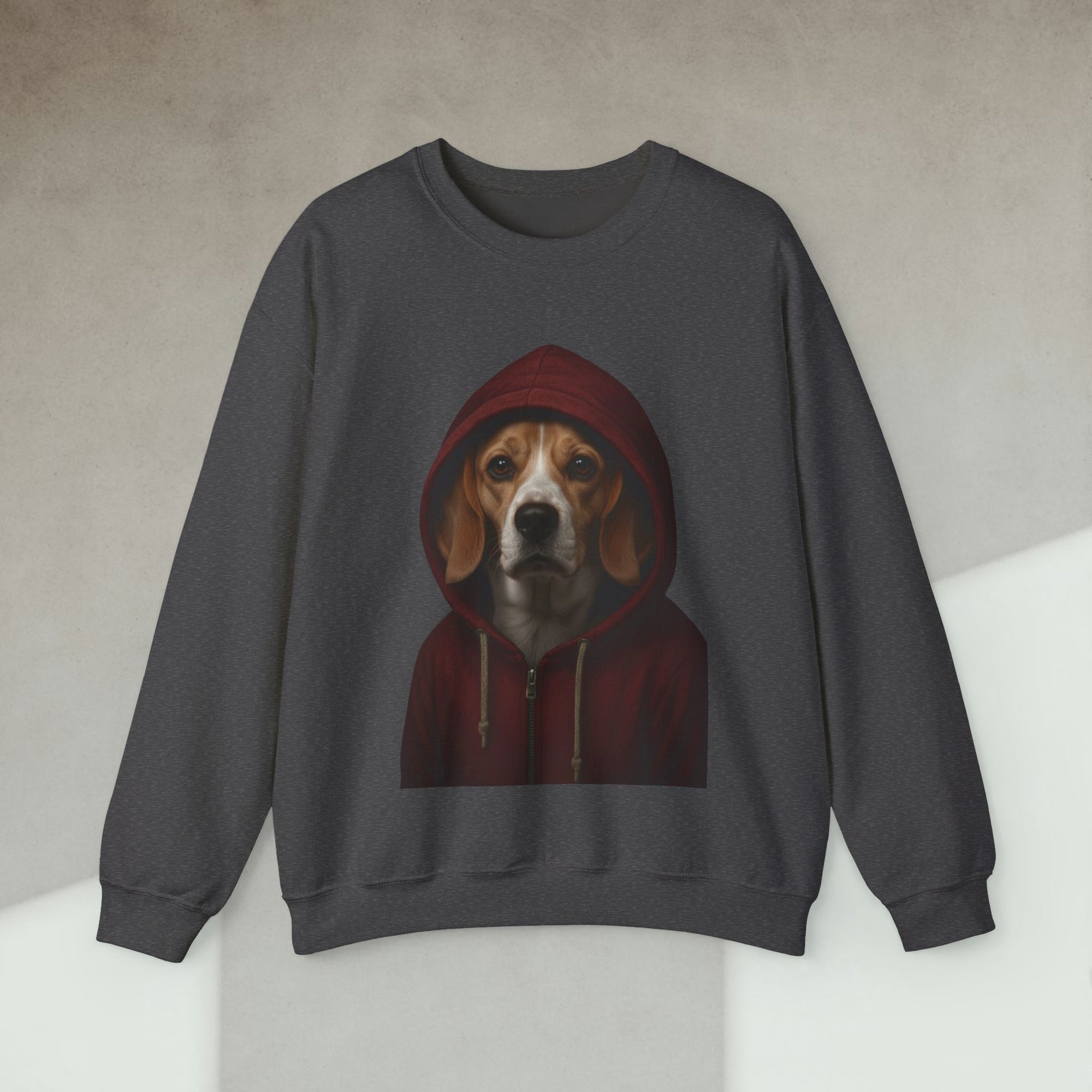 dog in hoodie sweatshirt