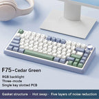 Wireless Mechanical Keyboard with RGB Backlight