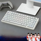 Wireless Mechanical Keyboard with RGB Backlight