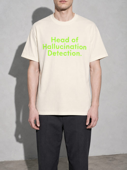 Head of Hallucination Detection – Ivory detail